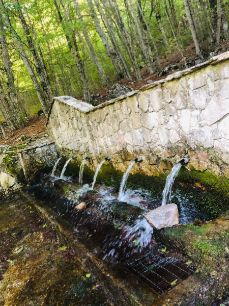 450x600 water