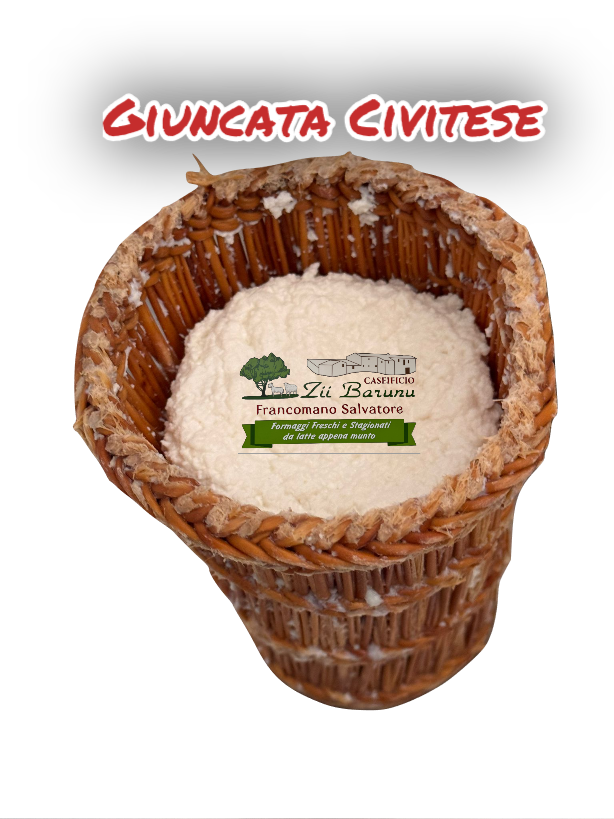 civita kaas