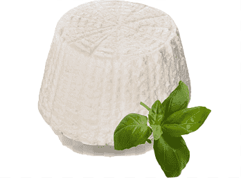 kaas 1 png