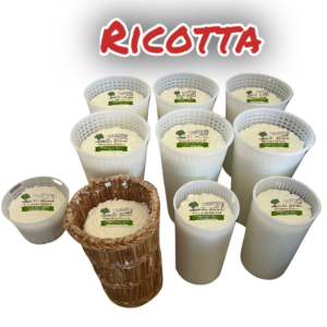 rico600